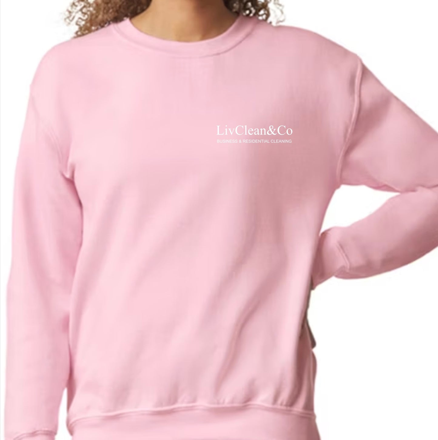 LivClean&Co